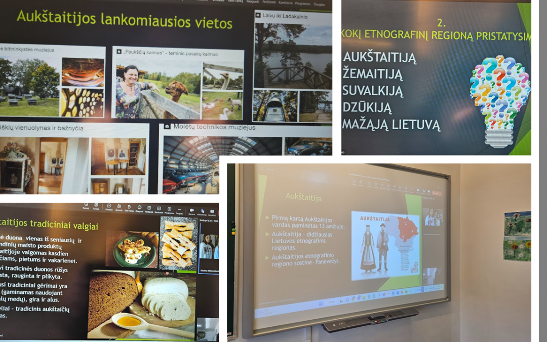 Nuotolinė pamoka