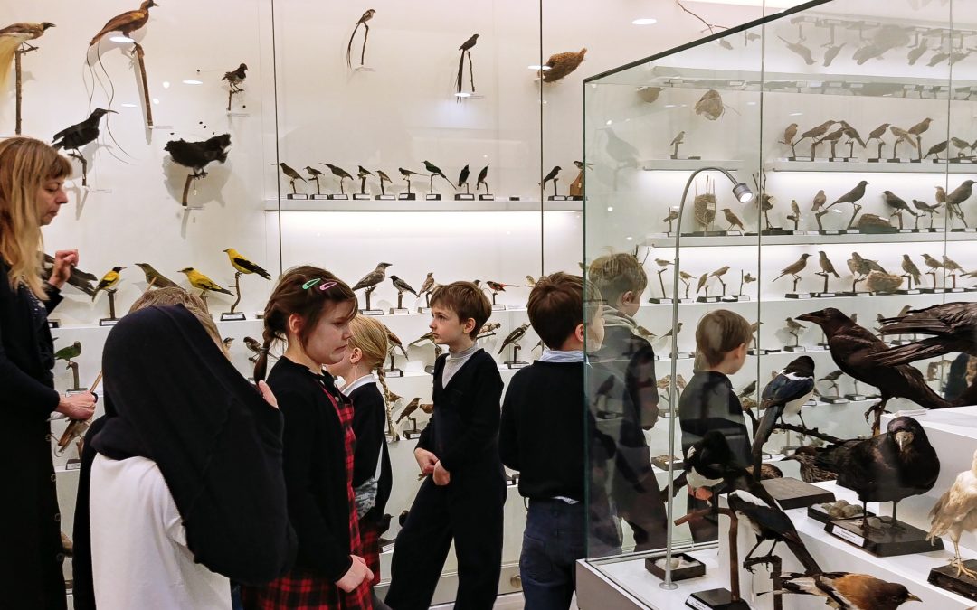 Išvyka į Zoologijos muziejų