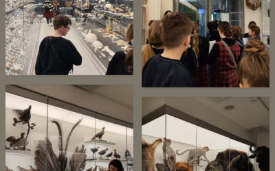 VU zoologijos muziejus