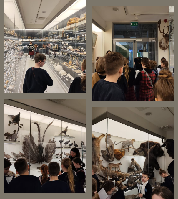 VU zoologijos muziejus