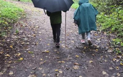 3c bendruomenės žygis Karmazinų pažintiniu taku