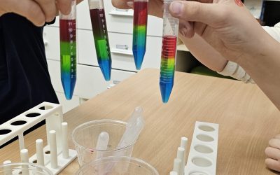 Edukacija „Cukrus ir jo savybės“
